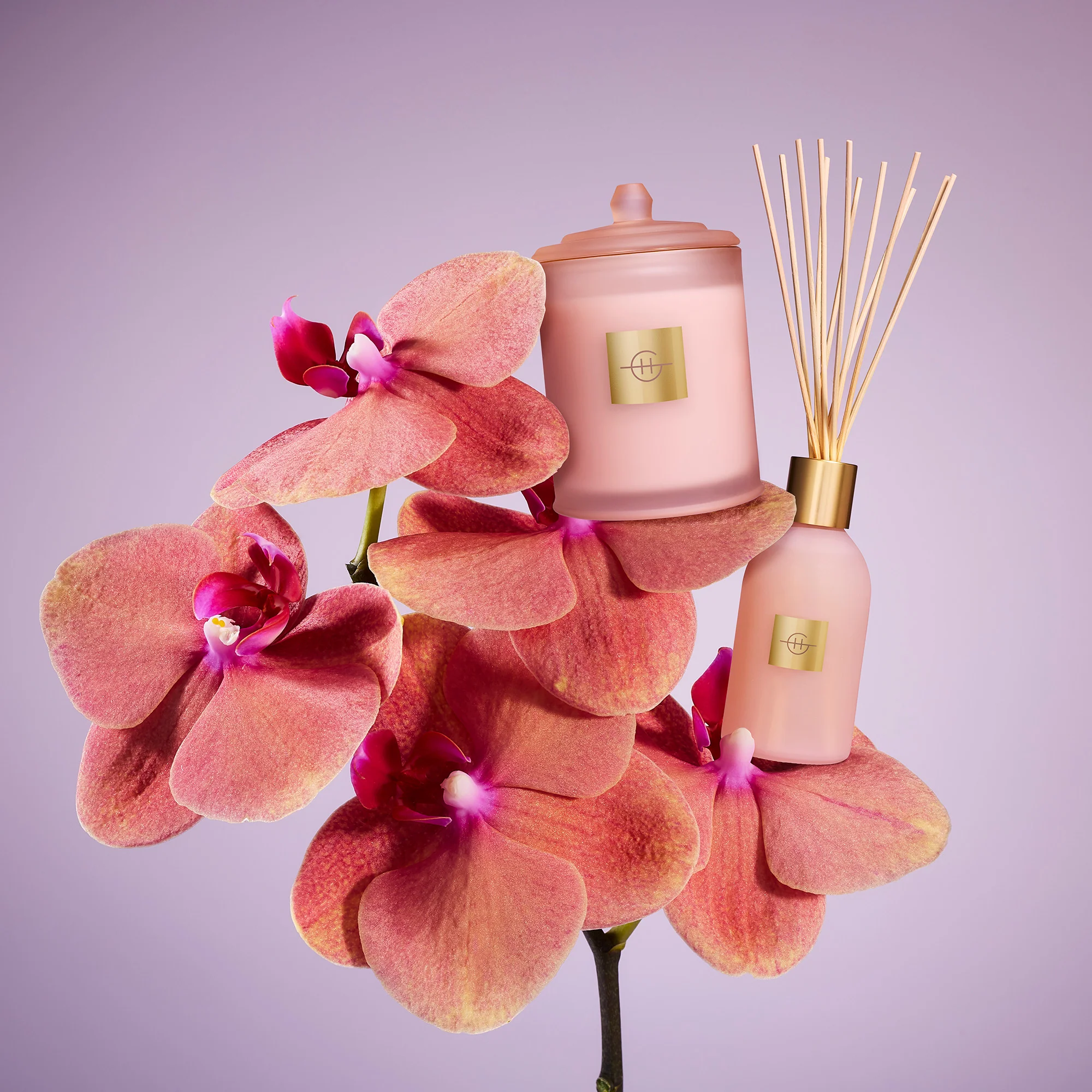 Glasshouse Radiance In Bloom 250ml Diffuser - Image 2